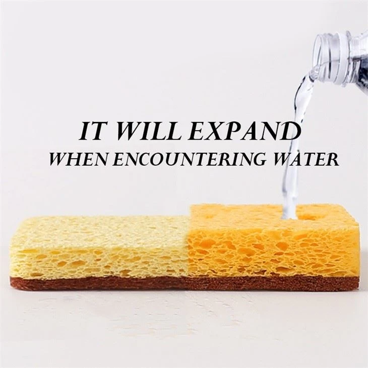 3pk Antimicrobial Sponge Scourer