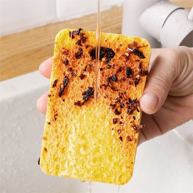 3pk Antimicrobial Sponge Scourer