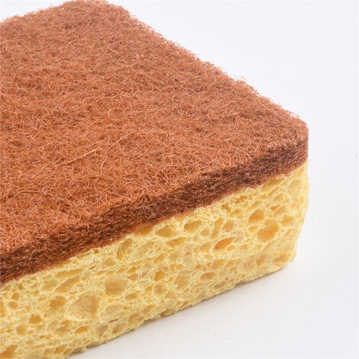 3pk Antimicrobial Sponge Scourer